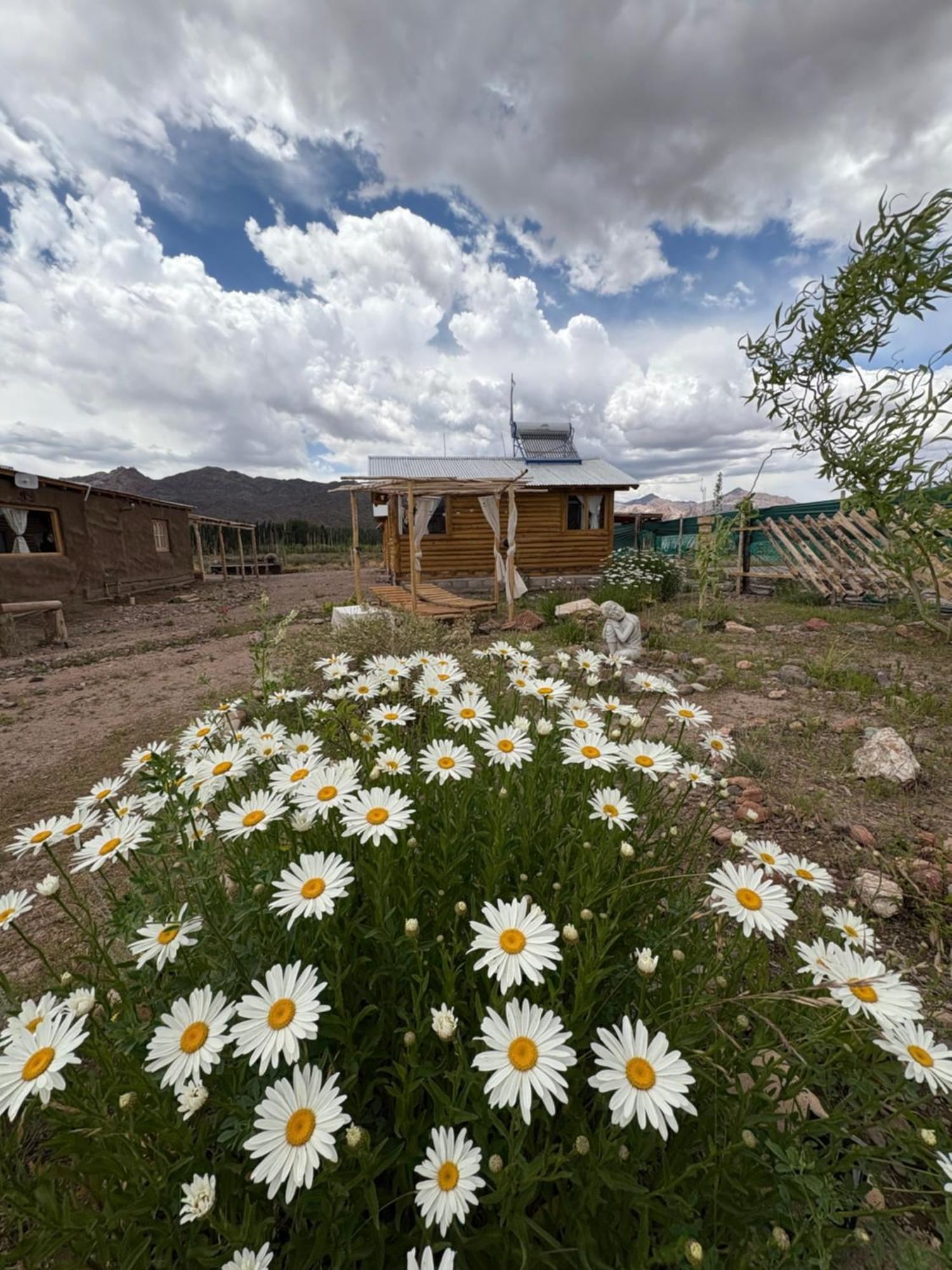 Paramitas Cabanas De Montana Uspallata Zewnętrze zdjęcie
