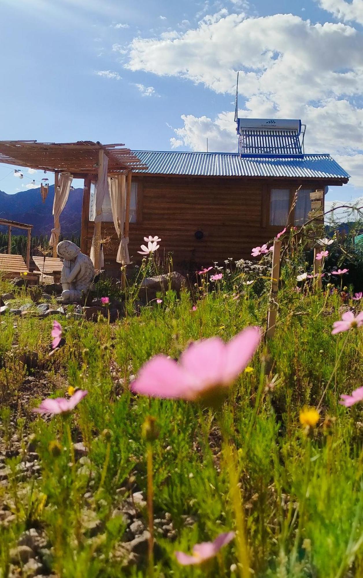 Paramitas Cabanas De Montana Uspallata Zewnętrze zdjęcie